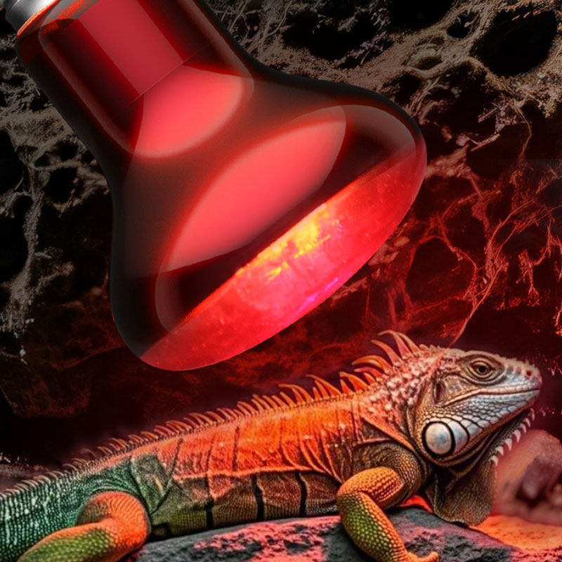 Gecko Lighting & Decor - Lámpara de Calor para Reptiles 100V/220V,