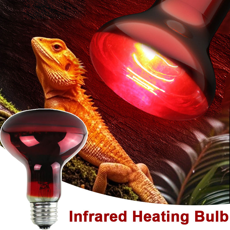 Lámpara de Calor para Reptiles - Gecko Lighting & Decor reseña y precio