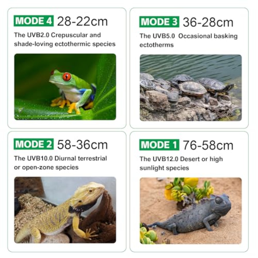 Luz UVB para Reptiles con Regu - Gecko Lighting & Decor reseña y precio