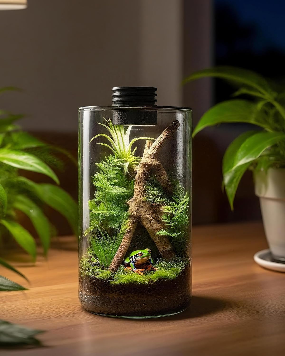 Terrario de Vidrio para Interi - Office Lighting Decor reseña y precio