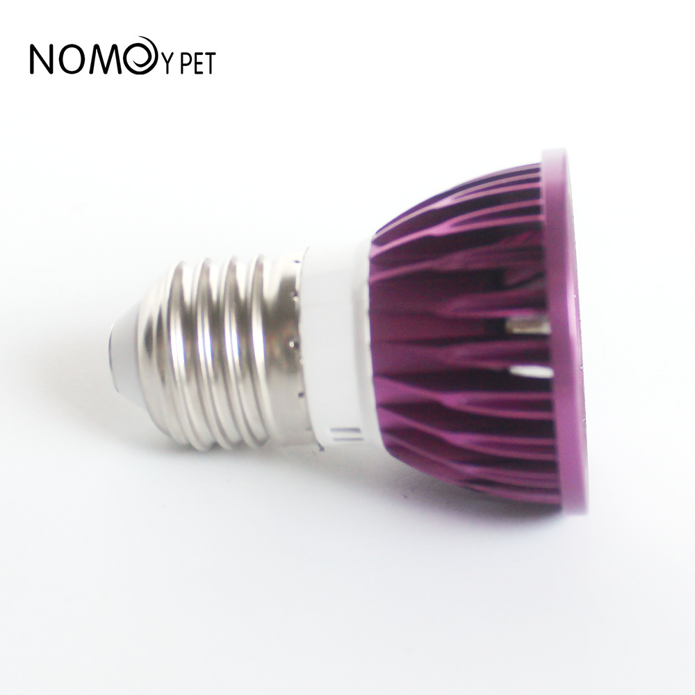 NOMOY Luz nocturna LED de luz  - Gecko Lighting & Decor reseña y precio